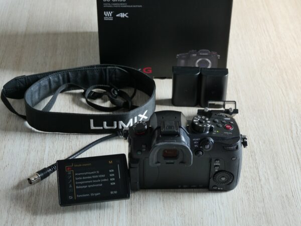 Panasonic Lumix GH5S à vendre (occasion)