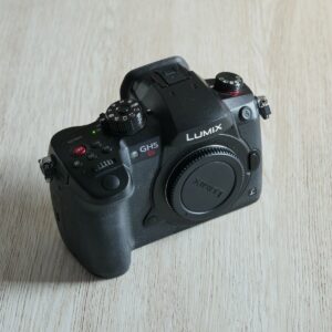 Panasonic Lumix GH5S à vendre (occasion)