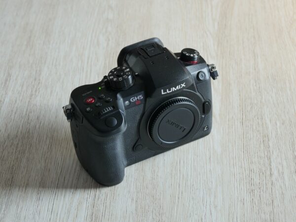 Panasonic Lumix GH5S à vendre (occasion)